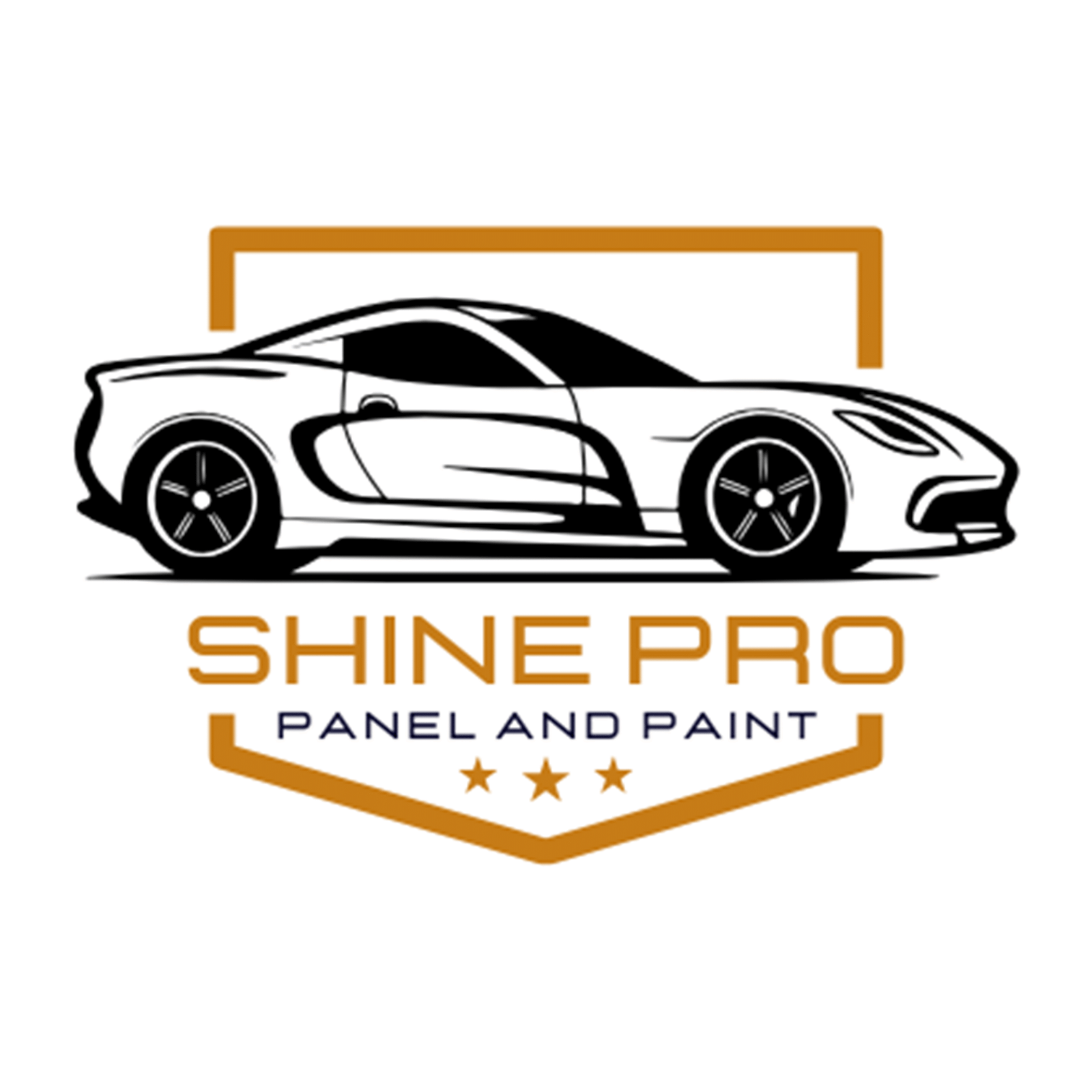 Proshine Logo with background